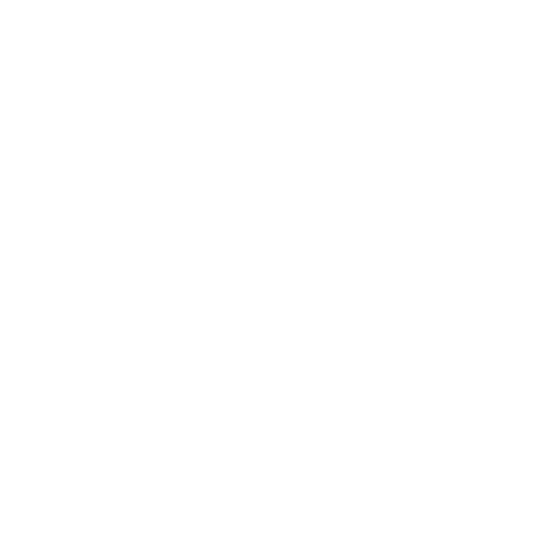 timirpathfoundation.com